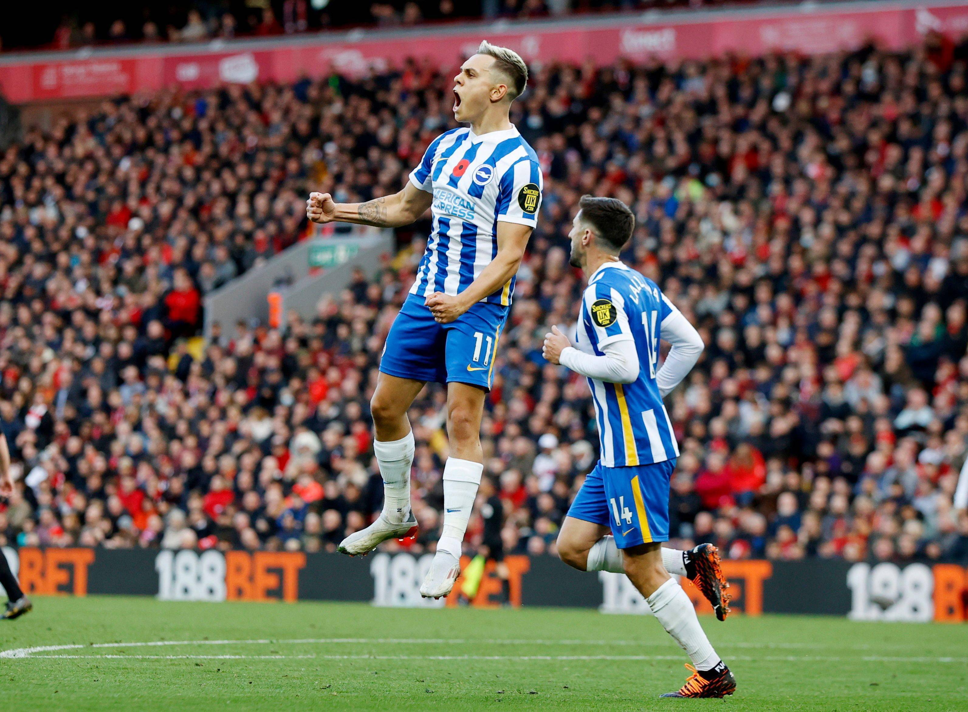 赢得了无数 赢得了无数